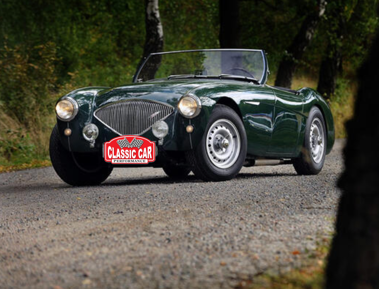 15x6" Dunlop D-Type Alloy Wheel - Silver Finish