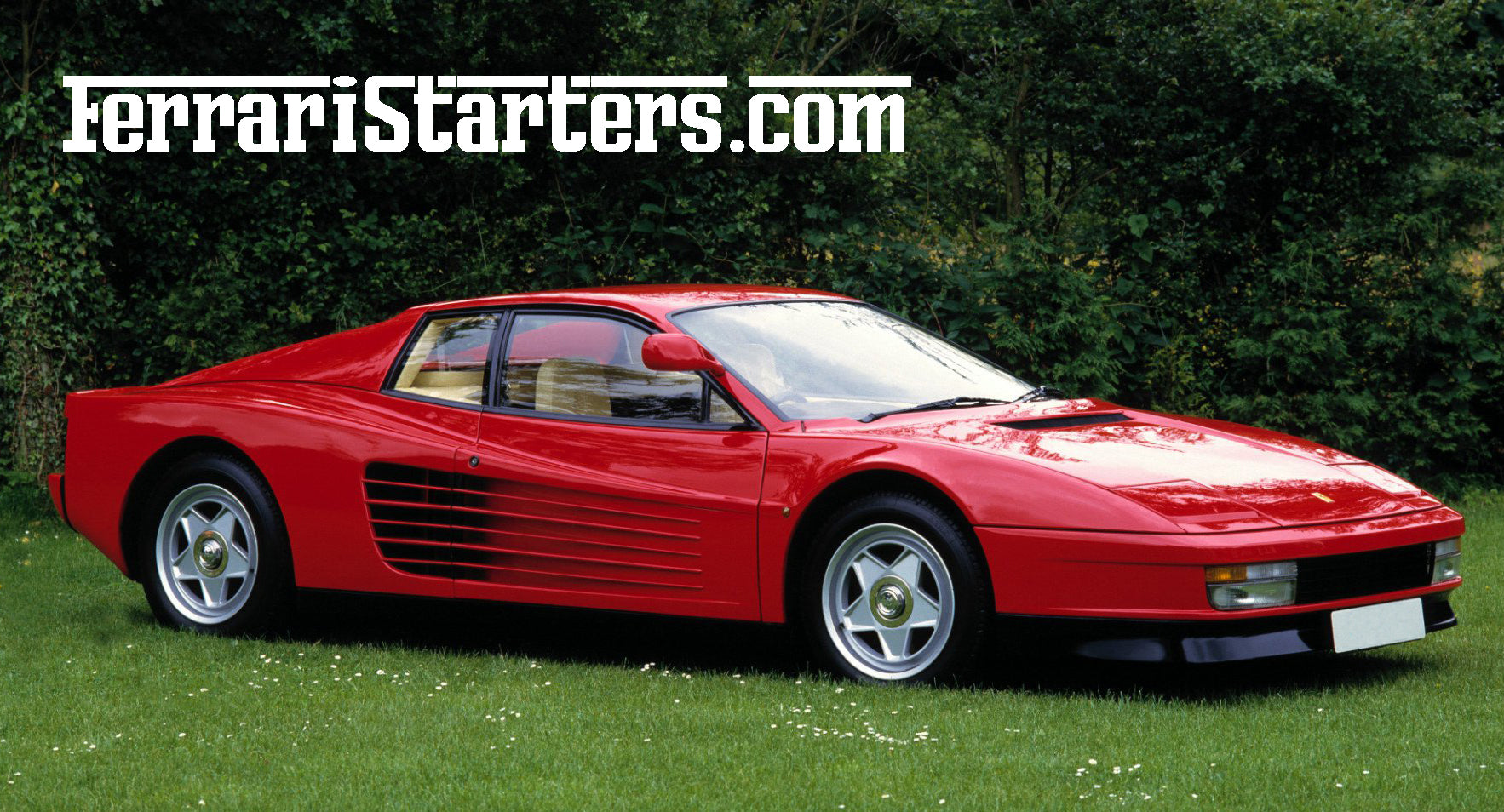 FERRARI TESTAROSSA BARCHETTA Scuderia Baldini Resin Kit Starter FERRARI TESTAROSSA BARCHETTA Scuderia Baldini Resin Kit Starter